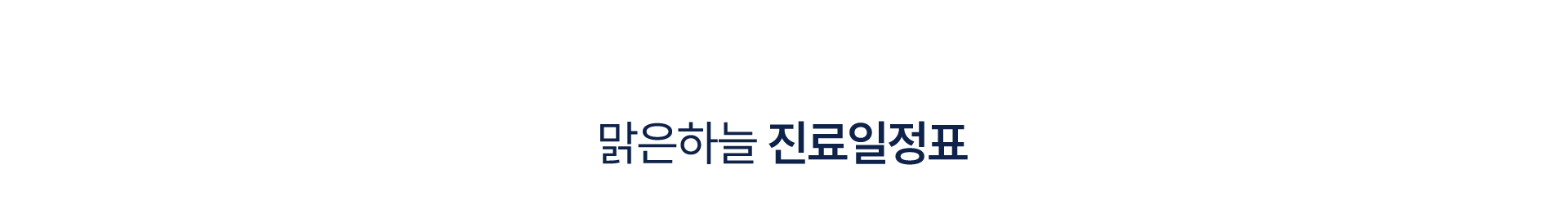 진료일정표